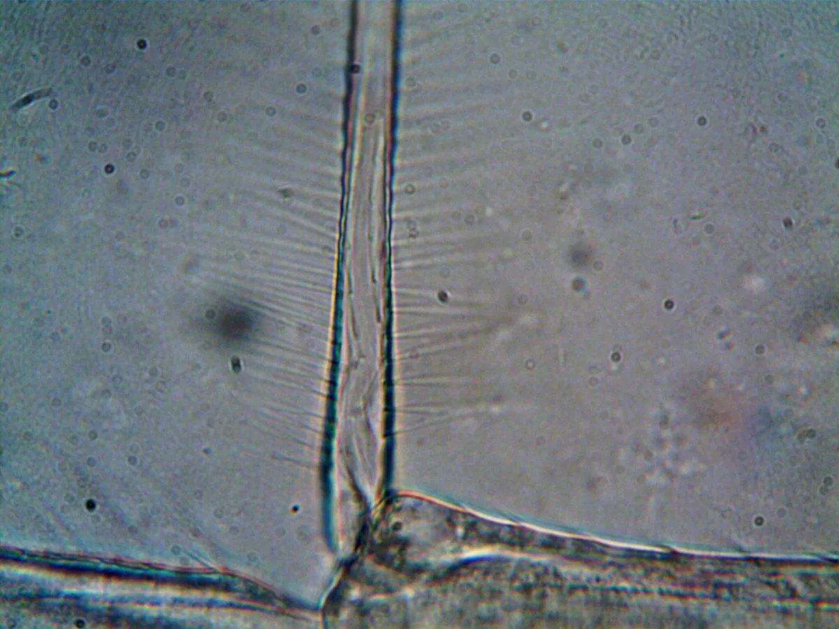 HEPA filter particle capture