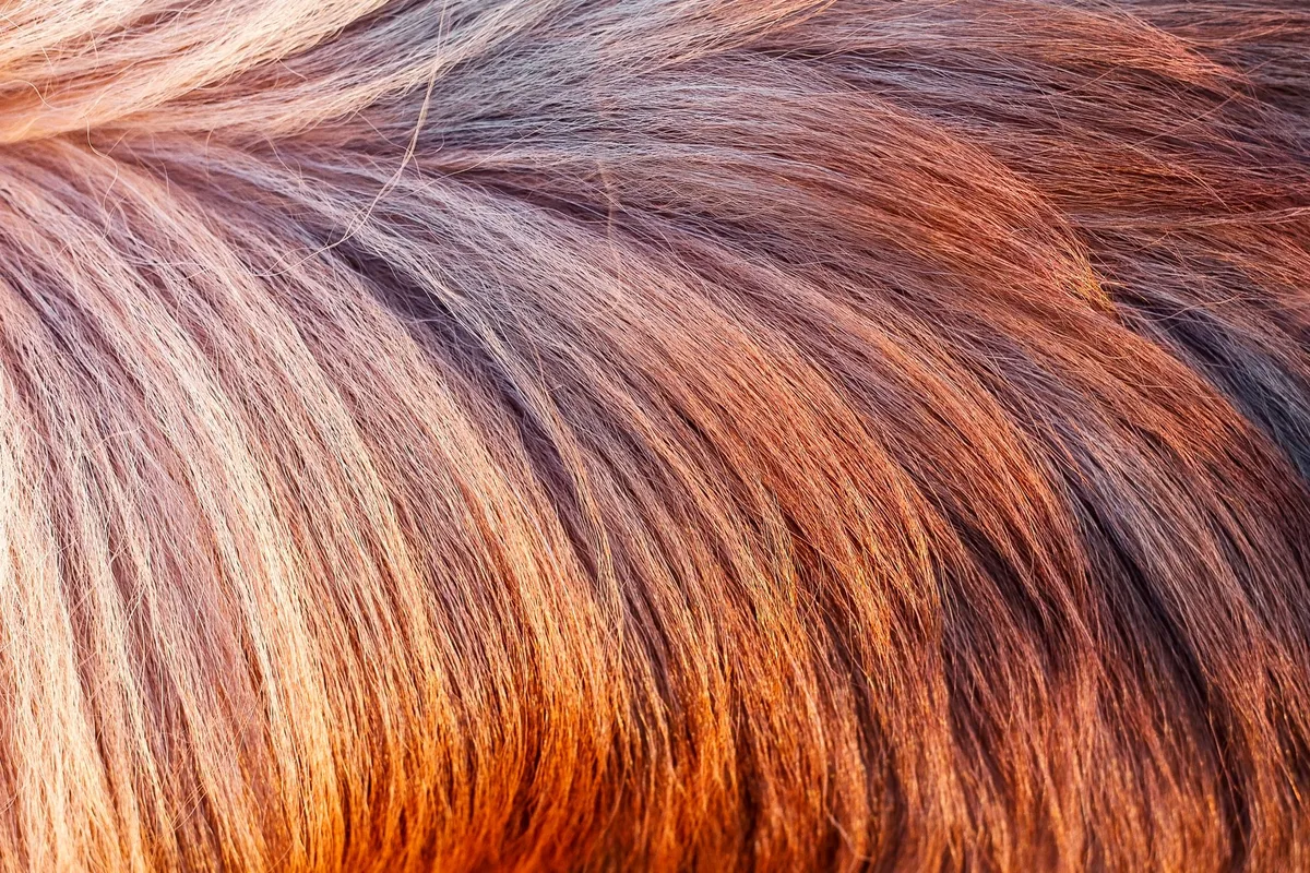 natural blonde hair