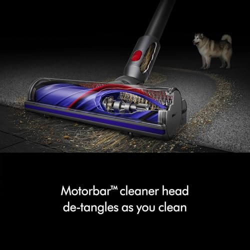 Vacuum Vs Carpet Cleaner
