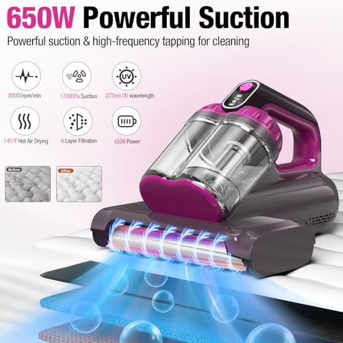 Best Vacuum Cleaner For Bed Bugs