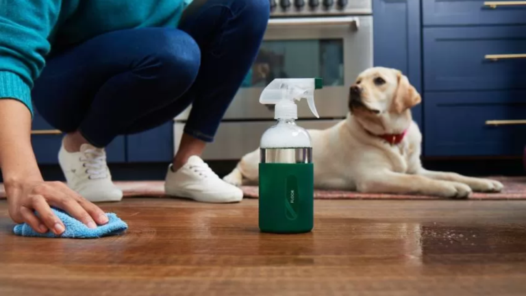 What Floor Cleaner Is Safe For Dogs