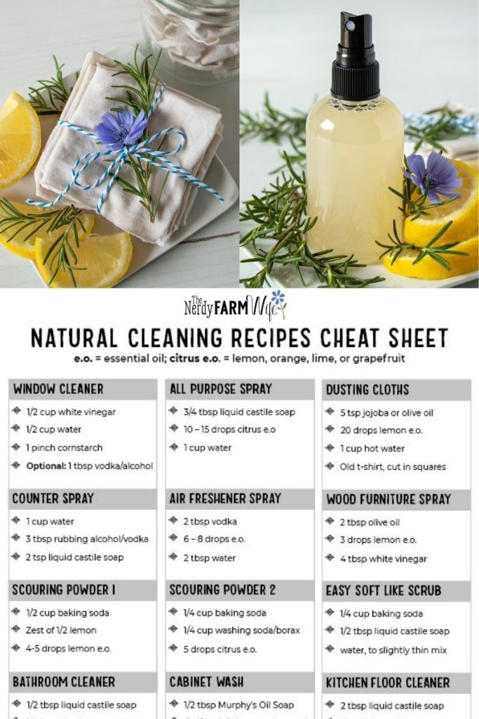 What Is The Best Homemade Cleaning Solution