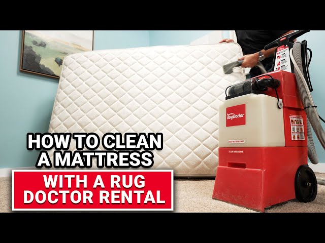 What Can I Use As Carpet Cleaner